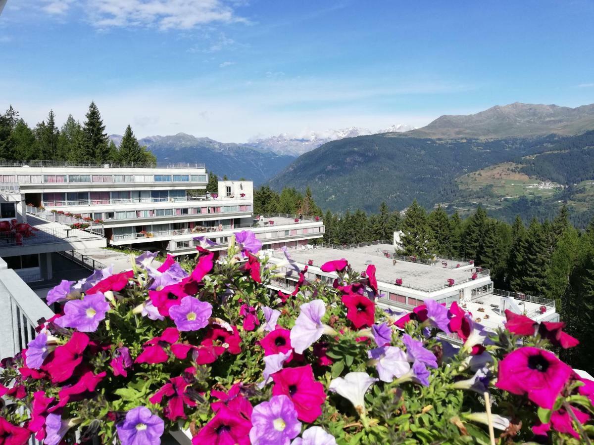 Sole Alto Appartamenti Montana Mezzana  Exteriér fotografie